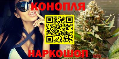 СК Пенза