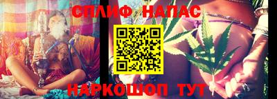 СК Пенза