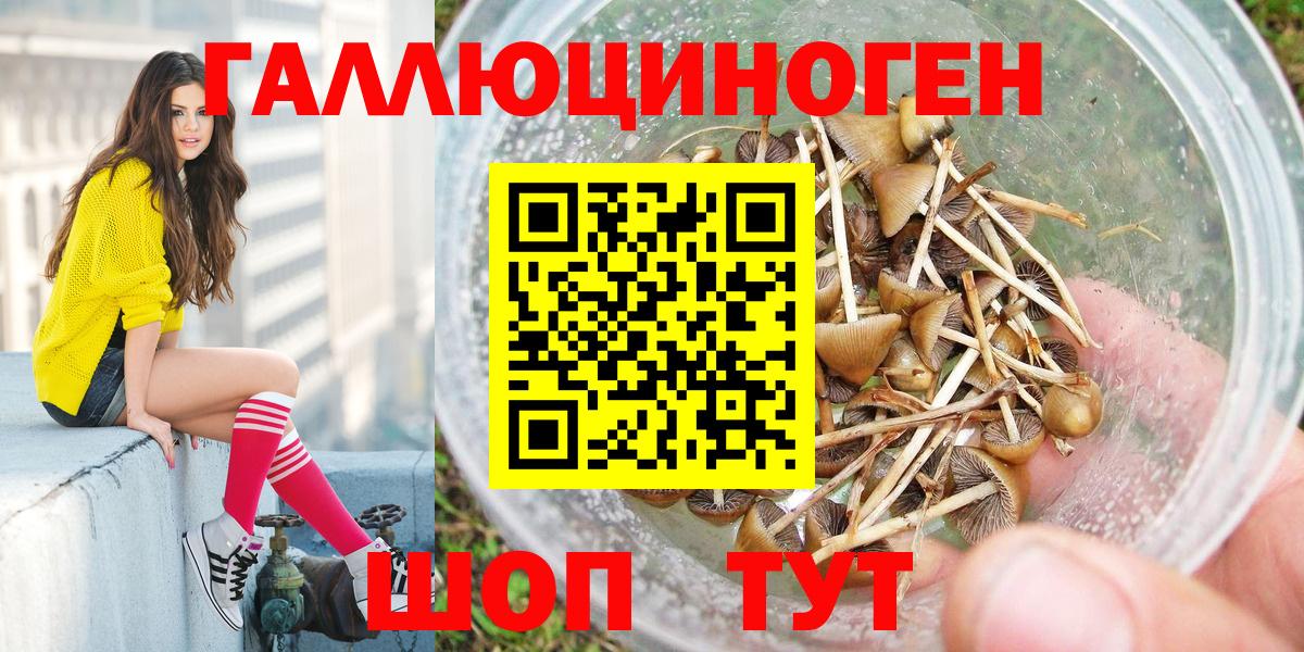 Галлюциногенные грибы Psilocybine cubensis  наркота  Сергиев Посад  Вход с VPN 